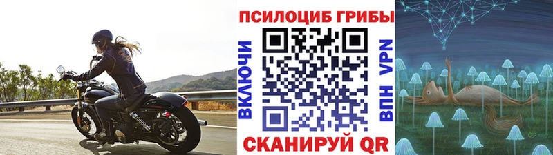 Псилоцибиновые грибы Psilocybe  Купить  Вышний Волочёк 